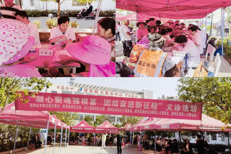 新洲区支部助力义诊咨询拼图_副本