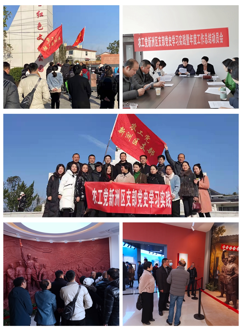 农工党新洲区支部开展党史学习实践活动暨工作总结布置会