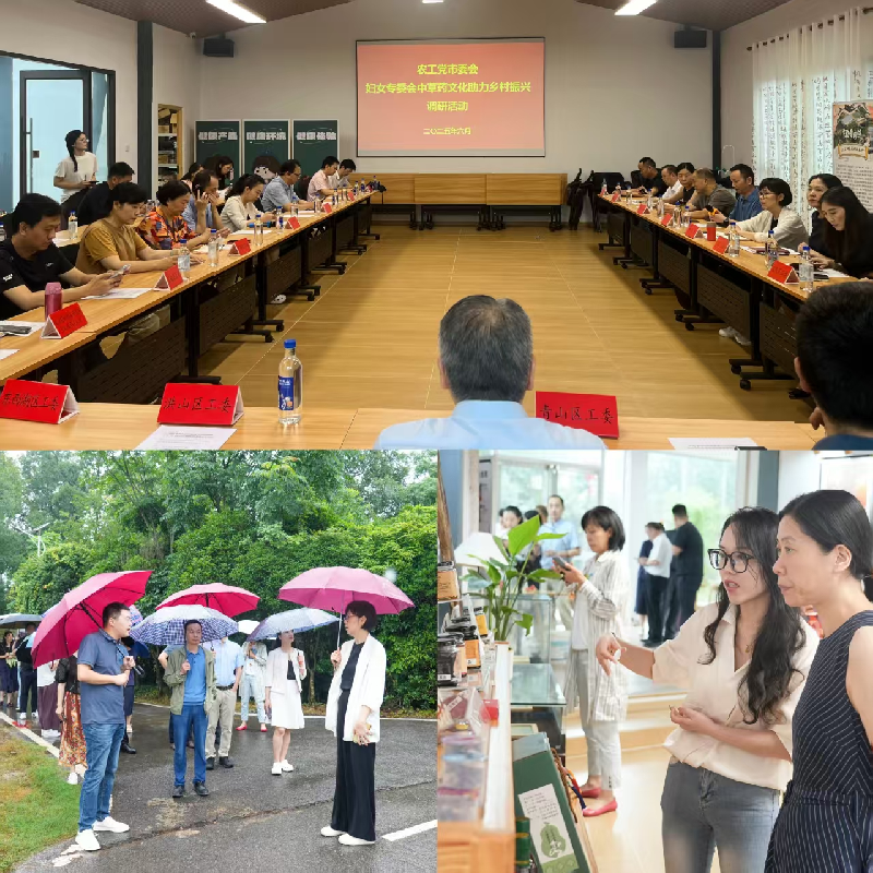 微信图片_2025-06-27_175708_718_副本